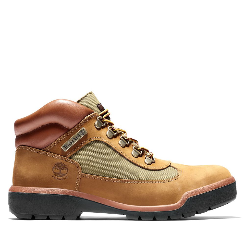 Tênis Masculino - Timberland Impermeavel Field Boots - TYEAP7254 - Marrom